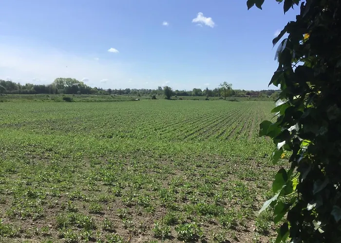 Gaestehaus Scheffler * Hattstedt